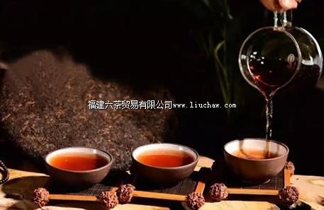 一杯普洱茶,胜过百家药! 一杯普洱茶,胜过百家药!
