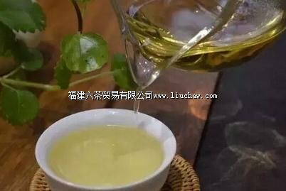 新手冲泡普洱茶的简易方法 新手冲泡普洱茶的简易方法