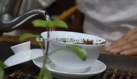 新手冲泡普洱茶的简易方法 新手冲泡普洱茶的简易方法