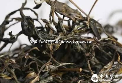 ��ѧ��ǡ�ϸ˵�ն�����Ķ��ˡ�������