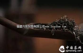 【学茶记】正山小种 真假“松烟香” 【学茶记】正山小种 真假“松烟香”