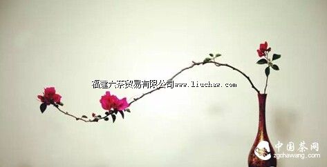 ���ˡ������ʫ�����㻹Ӧ��֪����Щ���ڲ�Ĺ�ʫ