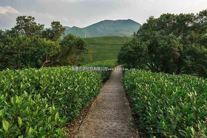 ���ˡ������ʫ�����㻹Ӧ��֪����Щ���ڲ�Ĺ�ʫ