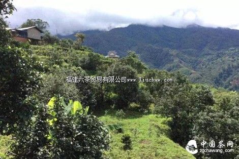 ���ˡ������ʫ�����㻹Ӧ��֪����Щ���ڲ�Ĺ�ʫ