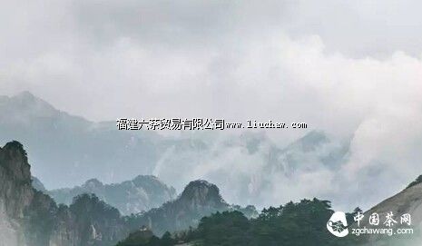 ���ˡ������ʫ�����㻹Ӧ��֪����Щ���ڲ�Ĺ�ʫ