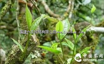 ��ѧ��ǡ��衰�Ͳ����ݡ���˵�˲���