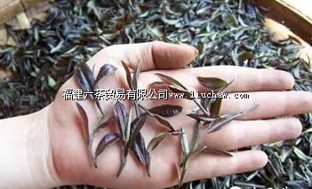 【寻茶记】养在深闺的“茶中第一” 【寻茶记】养在深闺的“茶中第一”