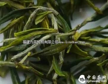 【寻茶记】养在深闺的“茶中第一” 【寻茶记】养在深闺的“茶中第一”