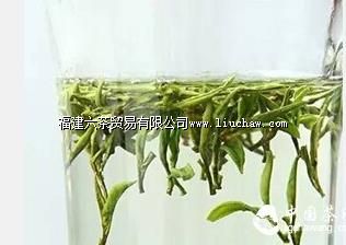 【寻茶记】养在深闺的“茶中第一” 【寻茶记】养在深闺的“茶中第一”