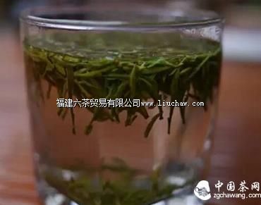 【寻茶记】养在深闺的“茶中第一” 【寻茶记】养在深闺的“茶中第一”
