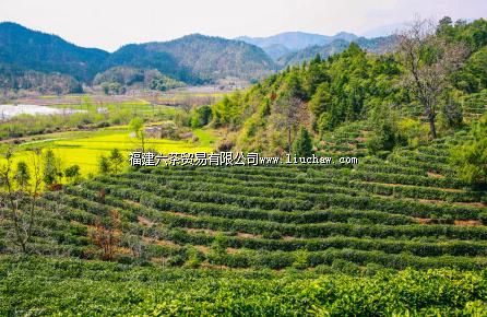 һ�������ı�׼