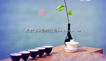 满足这七大标准,才算是好茶杯