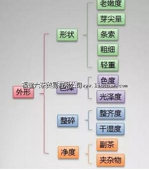 普洱茶购买指南:两招教你辨别什么茶是好茶