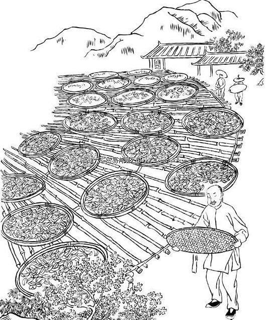 ��ʻ� | �Ҳ贫ͳ��������