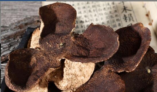 陈皮对老年人有什么作用 陈皮对老年人有什么作用