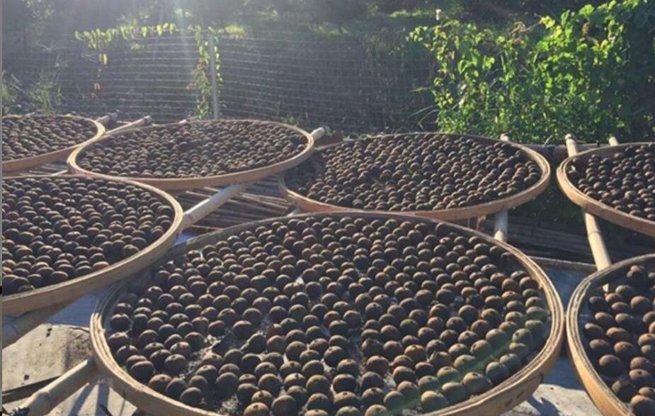 ��Ƥ���ն���һ����ˮ�Ĺ�Ч������