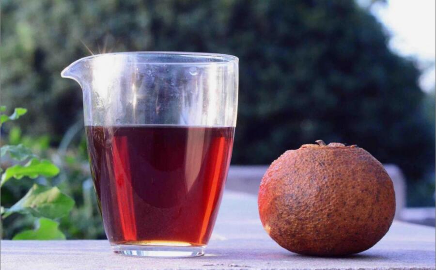 陈皮红茶可以一起泡吗 陈皮红茶可以一起泡吗