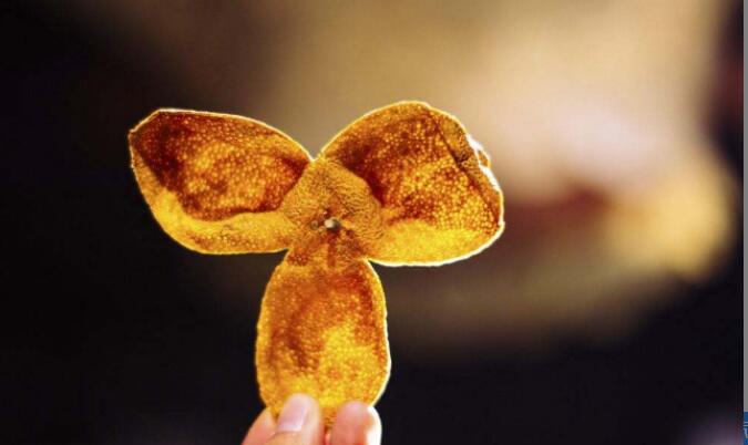 ��Ƥ��ʲô��Ч�����г�����Ƥ�ĺô�