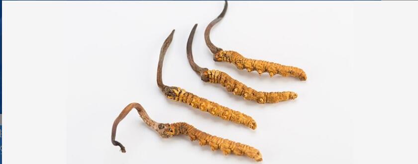 ��ݲ��ʺ�ʲô��Ⱥ��