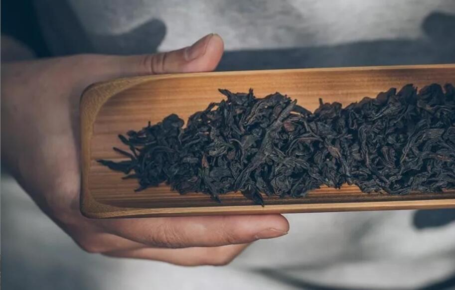 ����۲�Ҷ�ʺϵ���Ⱥ