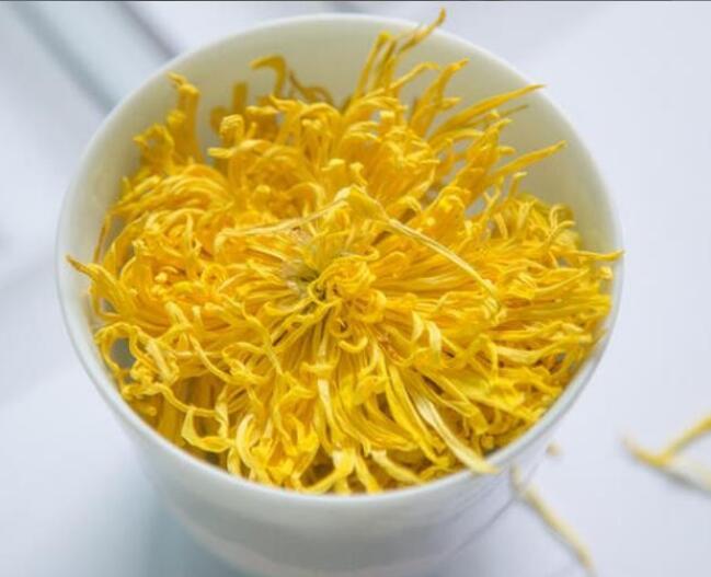 电脑族常喝金丝皇菊的功效与作用 电脑族常喝金丝皇菊的功效与作用