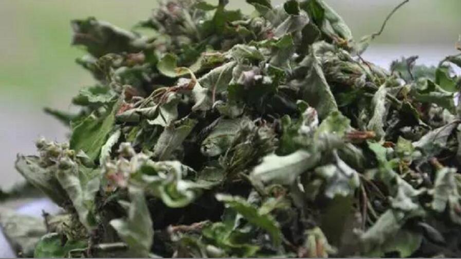 俄色茶的功效及禁忌 俄色茶的功效及禁忌