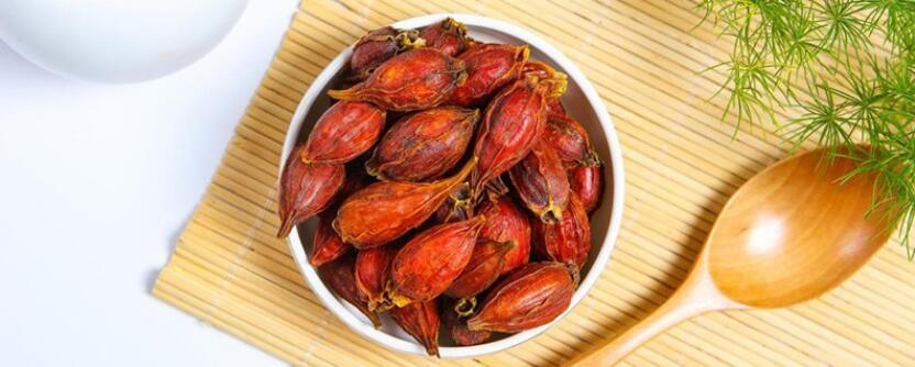 枙子作用与功效与作用 枙子作用与功效与作用