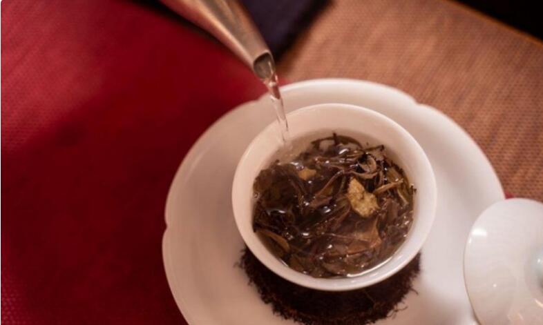 ���͵Ĳ�Ҷ��ʲô�ô�