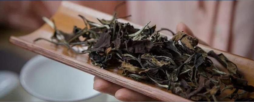 福鼎老白茶功效介绍 福鼎老白茶功效介绍