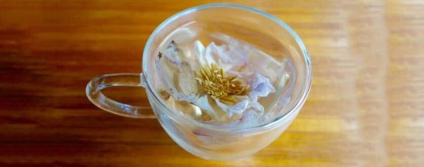 干荷花茶的功效与禁忌 干荷花茶的功效与禁忌