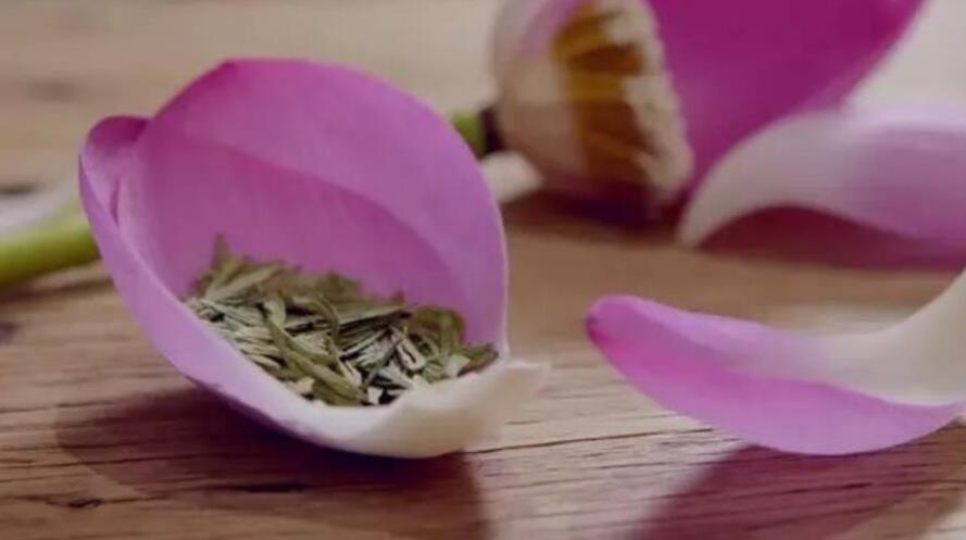 干荷花茶的功效与禁忌 干荷花茶的功效与禁忌