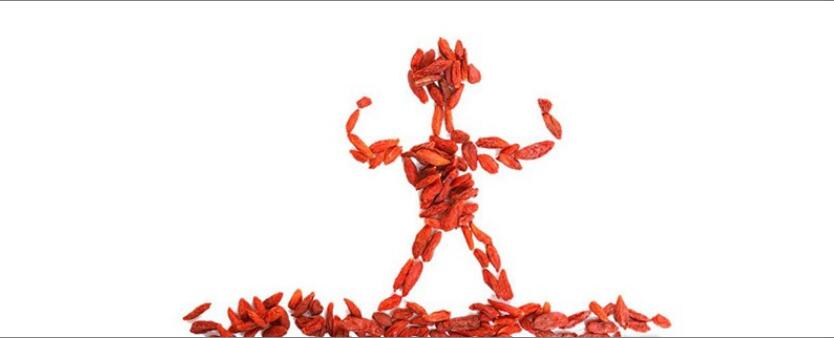 枸杞茶叶的功效与禁忌 枸杞茶叶的功效与禁忌