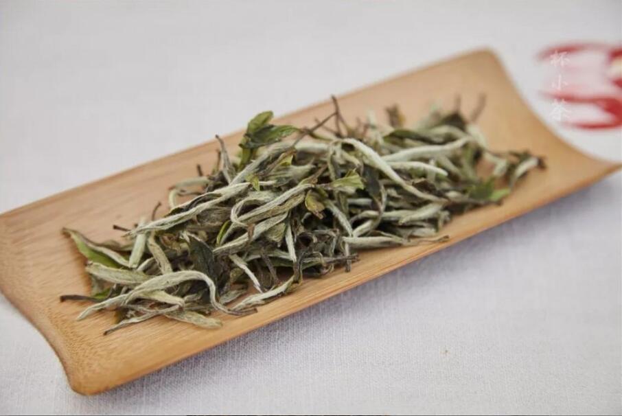 喝白茶的好处 喝白茶的好处