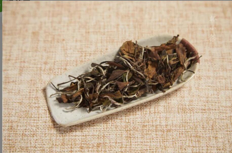 喝白茶的好处 喝白茶的好处