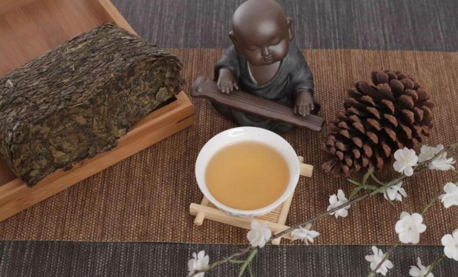 �Ȳ������