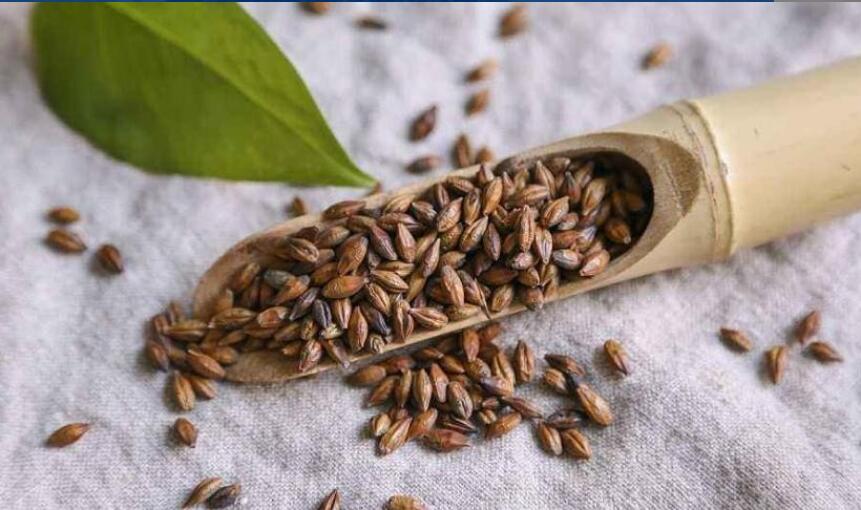 ��ʲô���������Ŵ��