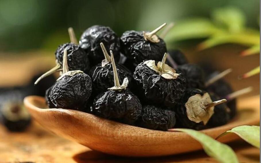 黑枸杞的功效与作用禁忌人群 黑枸杞的功效与作用禁忌人群