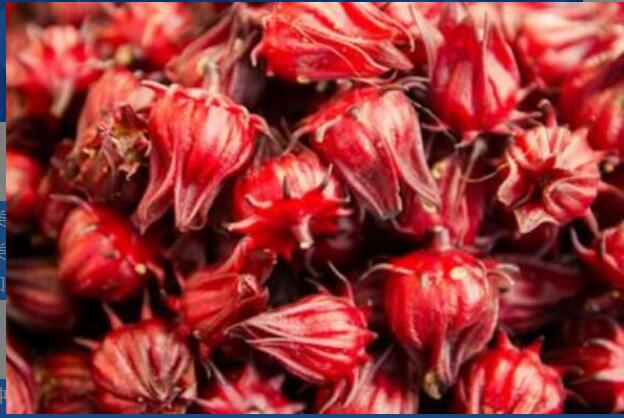 红金梅茶的功效与作用 喝红金梅茶的好处有哪些 红金梅茶的功效与作用 喝红金梅茶的好处有哪些