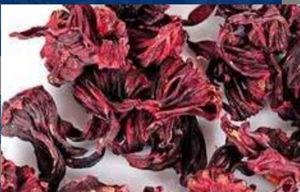 红金梅茶的功效与作用 喝红金梅茶的好处有哪些 红金梅茶的功效与作用 喝红金梅茶的好处有哪些