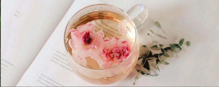 花草茶有什么功效 花草茶有什么功效