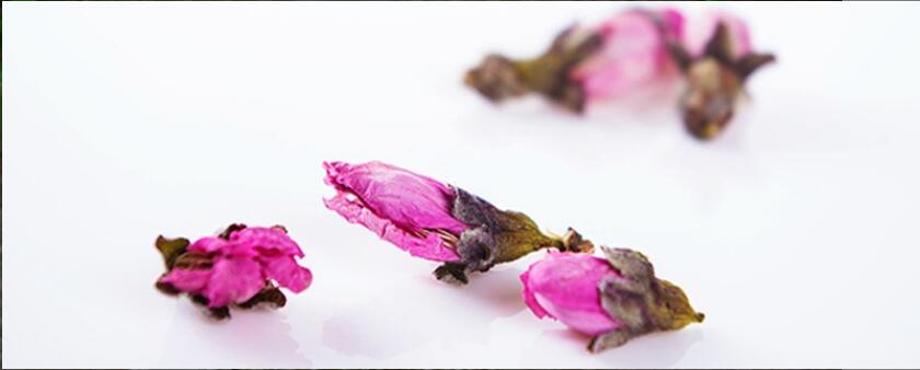 花草茶有什么功效 花草茶有什么功效