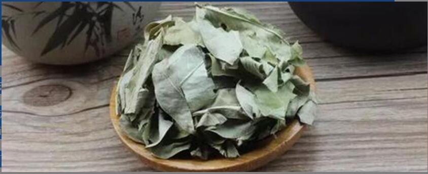 ����Ҷ����ˮ�ȵĹ�Ч������