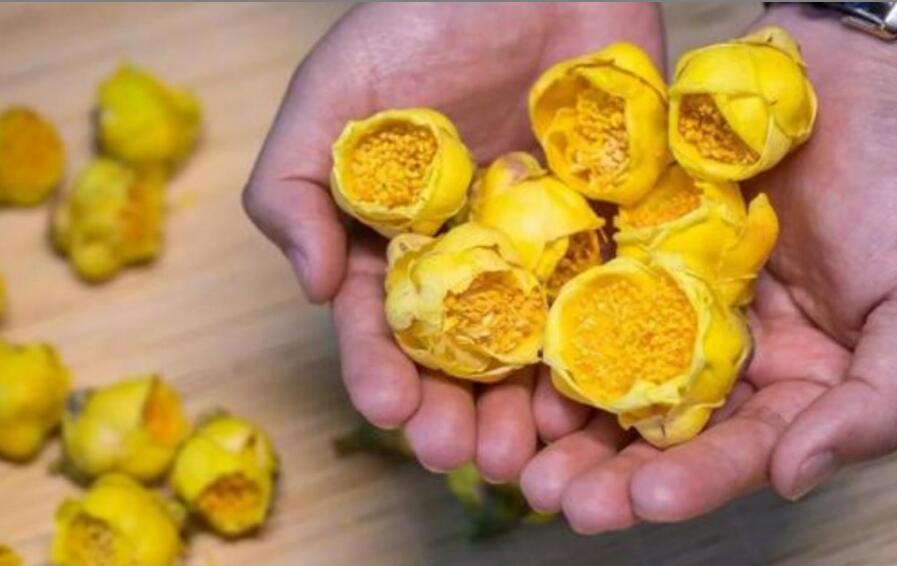 �ƽ𻨲�Ĺ�Ч������