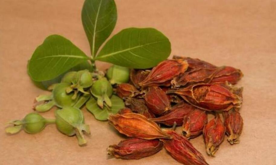 黄栀子泡水喝的功效 黄栀子泡水喝的功效