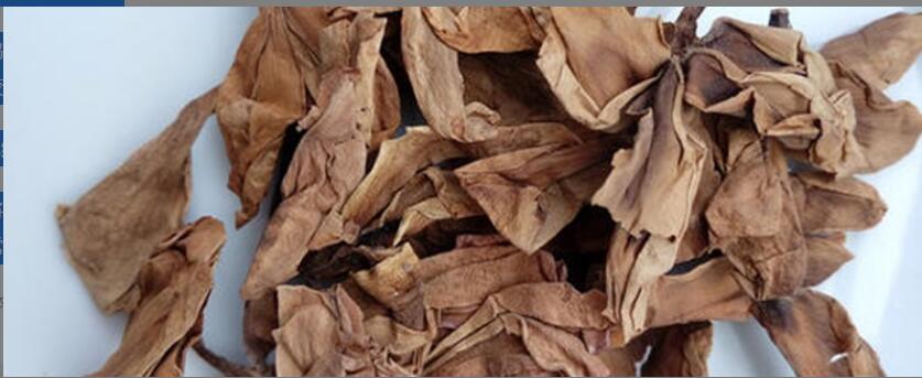 ��������Ĺ�Ч