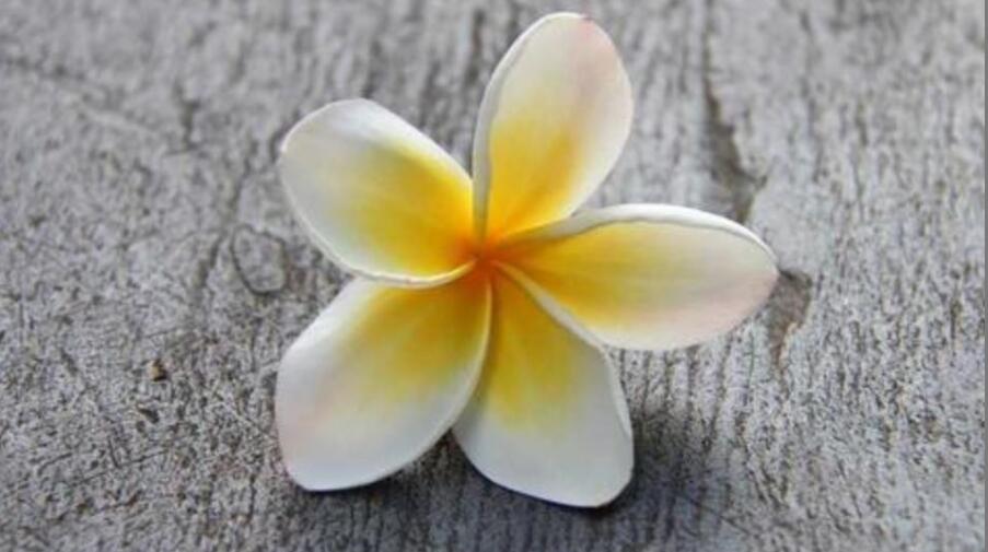 ��������Ĺ�Ч