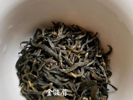 ��ü���ʺ�ʲô�˺�