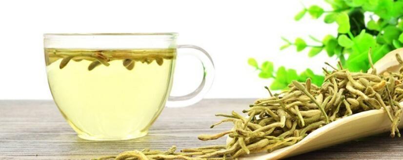 金银花和连翘泡水功效 金银花和连翘泡水功效