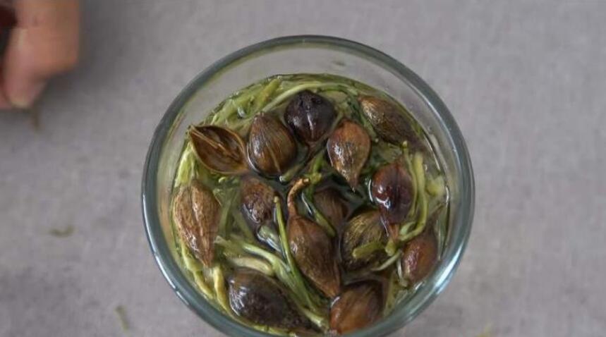 金银花和连翘泡水功效 金银花和连翘泡水功效