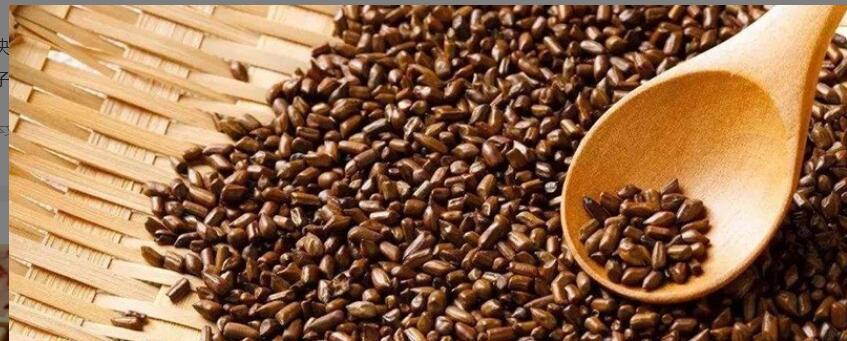 决明子的功效与作用及禁忌 决明子的功效与作用及禁忌